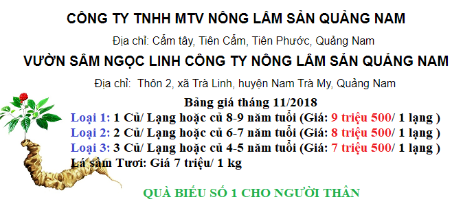 bang gia sam